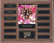 APT205DBK<BR>10 1/2"x13" PLAQUE<BR>MAGNETIC PLATES WITH IMAGE