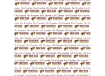 HERITAGE COYOTES 12X12 ACCENT SCRAPBOOK PAPER PACK 10 PAPERS PER PACK