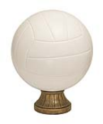 SPORT BALL THROPHY<BR> REALISTIC VOLLEYBALL <BR>5 1/2"