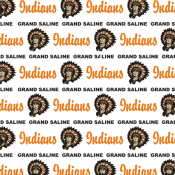 GRAND SALINE INDIANS<BR>12" x 12" PAPER