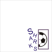 SOCCER BORDER<BR>12" x 12" PAPER<BR>CUSTOMIZE YOUR COLOR &<BR>WORDING